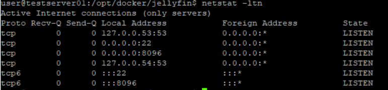 jellyfin-netstat-ltn